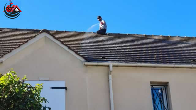 Démoussage de toiture